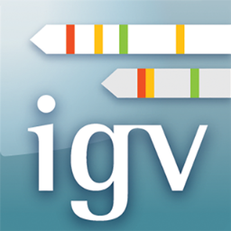 IGV Logo